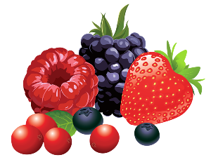 forest fruits